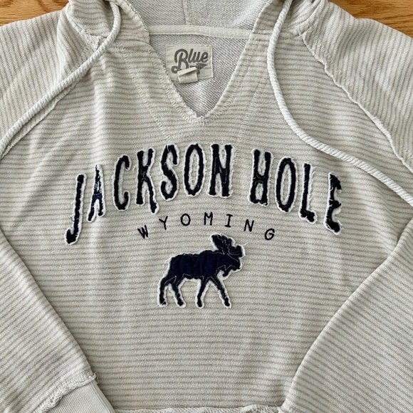Blue 84 Beige & Tan Striped Jackson Hole French Terry Hoodie, Size Small - Picture 2 of 7